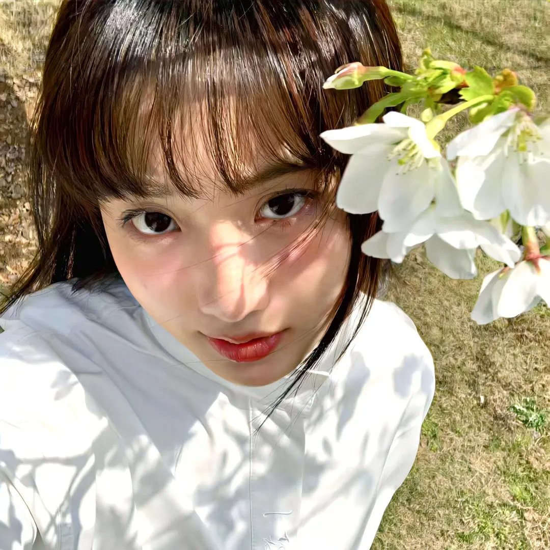 混沌洪荒被我带偏了